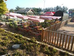 -万源龙顺度假庄园生态观光园