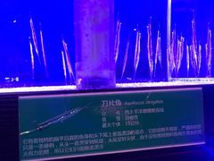 -石家庄海洋公园