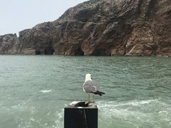 -海驴岛(荣成市)