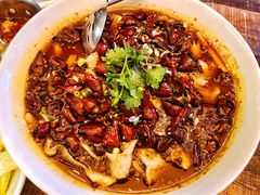 -铁公鸡·四川料理(天环广场店)