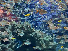 -成都浩海立方海洋公园