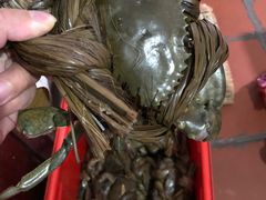 -老财炒饭·熟地蟹·冬瓜蟹