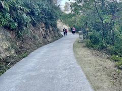 -南丹山森林王国