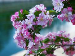 -海棠花溪(元大都城垣遗址公园)