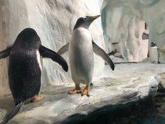 -南昌海洋公园