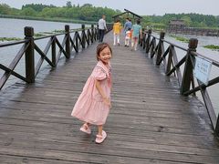 -溱湖国家湿地公园