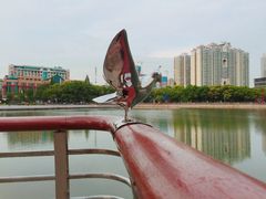 -西北湖绿化广场