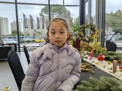 -上海汇之星奔驰4S店(浦东新店)