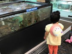 -盒马渔市餐厅