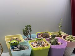 -维乐口腔·埃齐门诊(静安店)