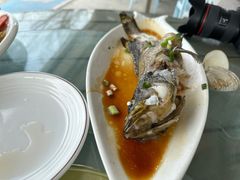 -七鲜渔港美食餐厅(巽寮湾海景店)