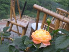 -远山有窑
