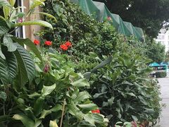 -鲍旭私房菜(兴苑路店)