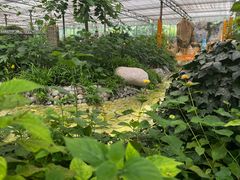 -南宫五洲植物乐园