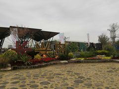 -上海长兴岛郊野公园