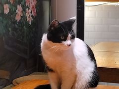 -萤火虫咖啡(后海店)