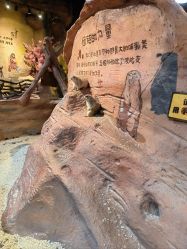 -奇幻萌宠部落(映月湖环宇城店)