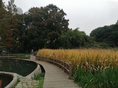 -成都市活水公园
