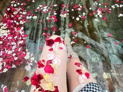 -金孔雀温泉旅游度假村