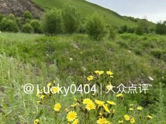 -阿尔山市大兴安岭奥伦布坎景区