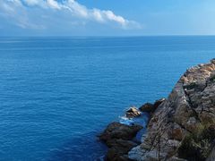 -广东惠东海龟国家级自然保护区