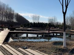 -东郊湿地公园