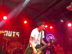 -坚果NUTS