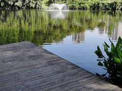 -重庆彩云湖湿地公园