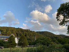-普陀山风景区-佛顶山