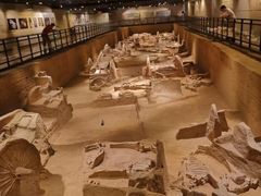 -洛阳周王城天子驾六博物馆