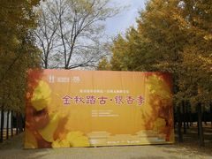 -汉景帝阳陵博物院