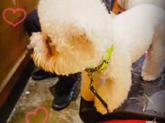 -NINES推理馆·实景侦探推理剧MIXPLAY(静安店)