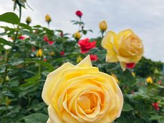 -国家植物园南园