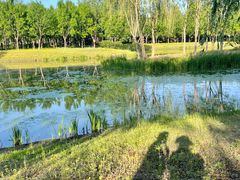 -东郊湿地公园
