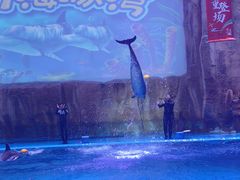 -华夏文旅海洋公园