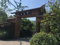 -习家池