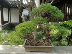 -五峰园