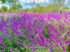 -上海山野camping·户外天幕烧烤·团建拓展营地