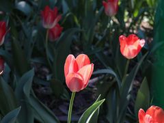 -长春公园(普阳街道)