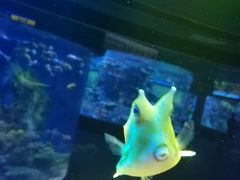 -左海海底世界