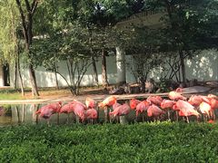 -石家庄市动物园