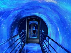 -泰达航母主题公园