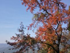 -广州市石门国家森林公园