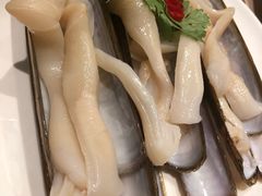 -協成海鮮火鍋(老店)