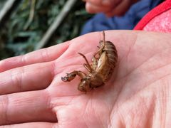 -东天目山风景区