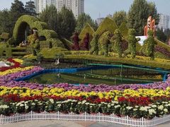 金秋菊展-西北湖绿化广场
