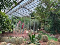 -呀路古热带植物园