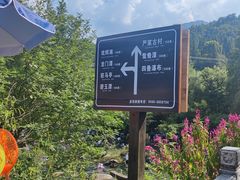 -石台牯牛降景区