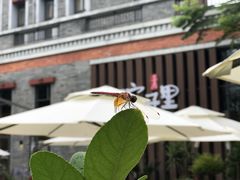 -墨居上隐·院子里火锅(峨眉店)