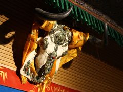 -吉祥圣雪藏餐